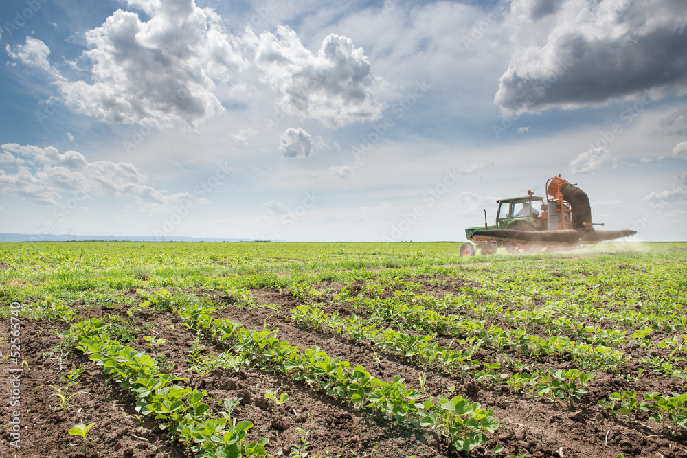 Obraz premium Tractor spraying soy