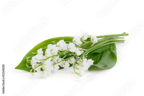 Fototapeta Naklejka Na Ścianę i Meble -  Blooming Lily of the valley