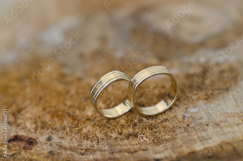 couple of gold wedding rings