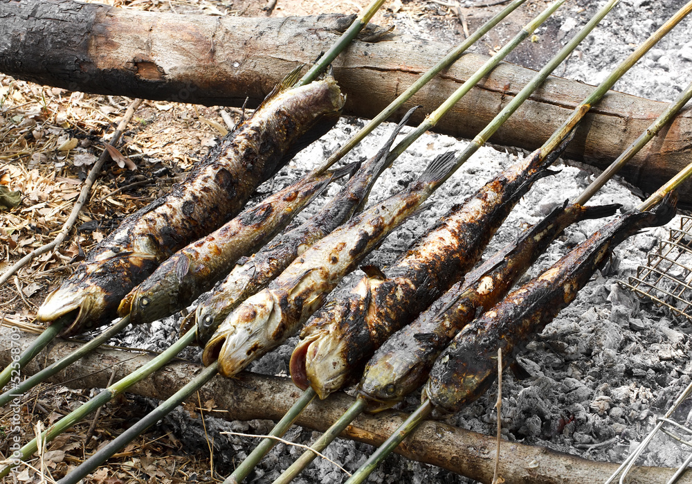 Rustic grilled fish on nature at countryside Rustic grilled fish on nature at countryside
