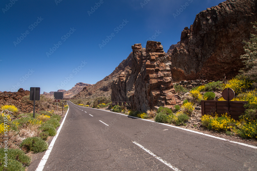 Tenerife, Canary Islands, Spain