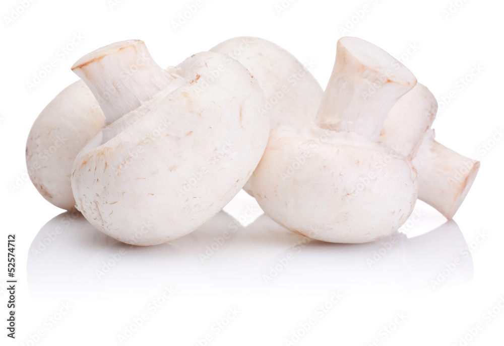 Fresh Portabello Mushroom champignon isolated on white backgroun Fresh Portabello Mushroom champignon isolated on white backgroun