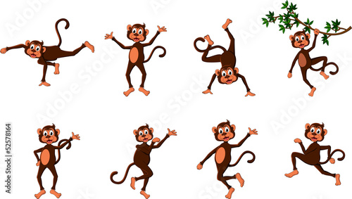 cute comical monkey series