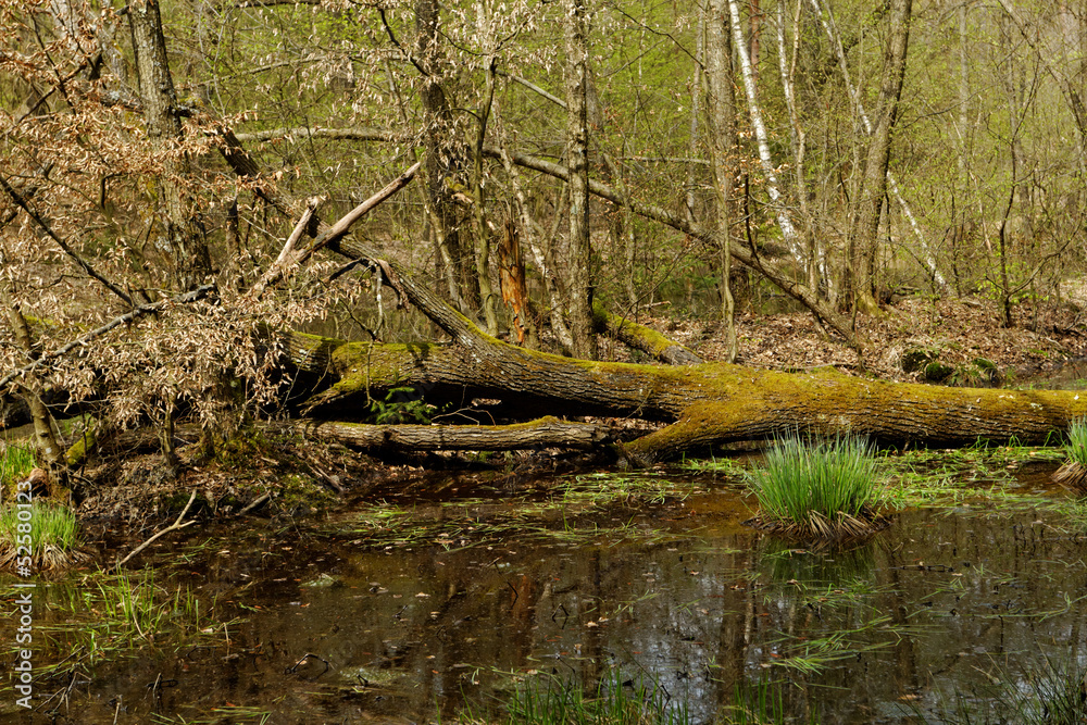 small lake small lake