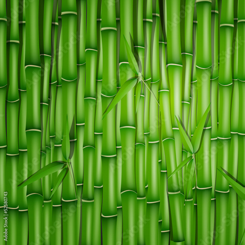 Vector Illustration of a Bamboo Background