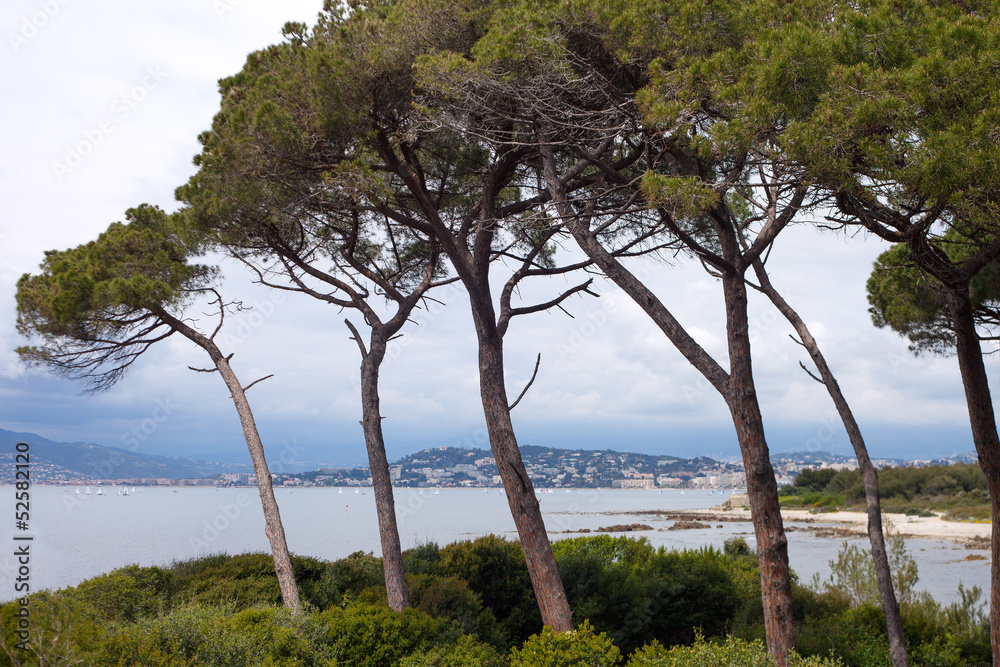 Sainte-Margurite island at Cannes, France.