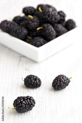 Mulberry - Morus celsa - Gelsi photo