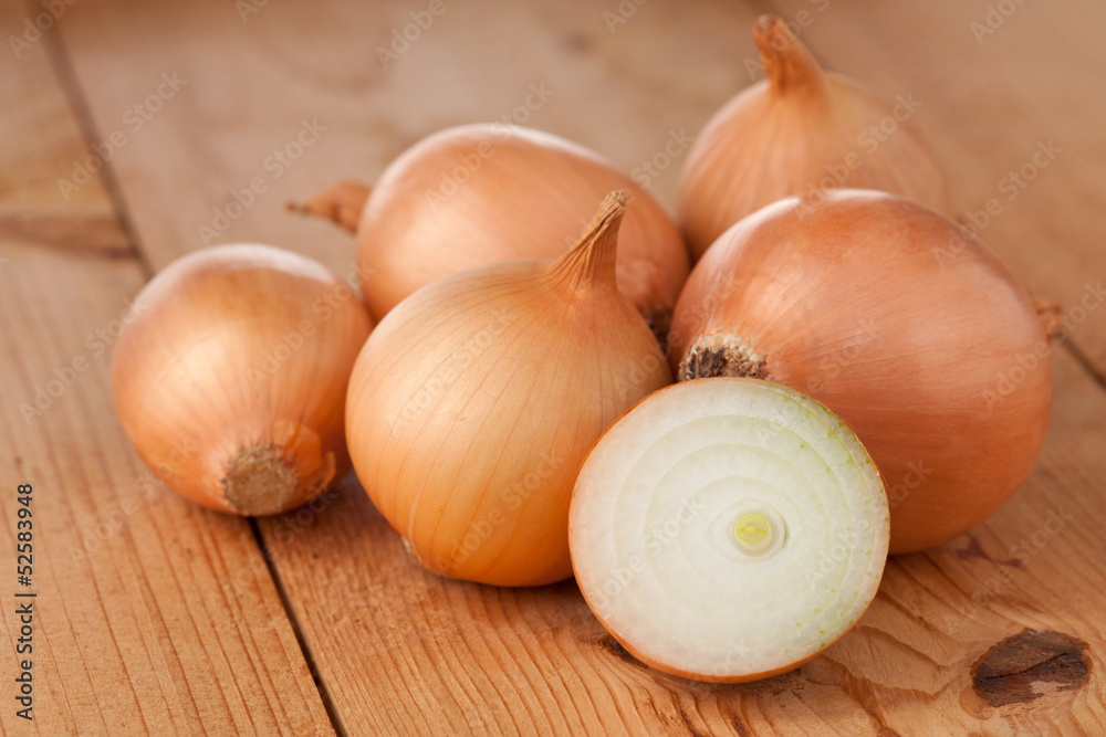 Zwiebel Zwiebel