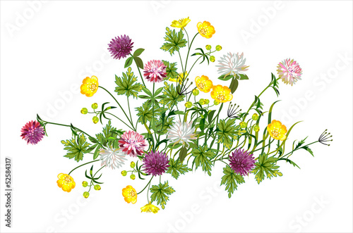 Beautiful composition of wild flowers