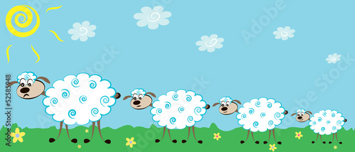 four sheeps
