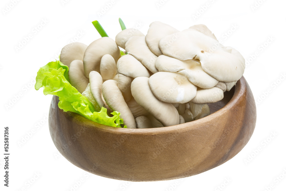 Fresh Fungus Fresh Fungus