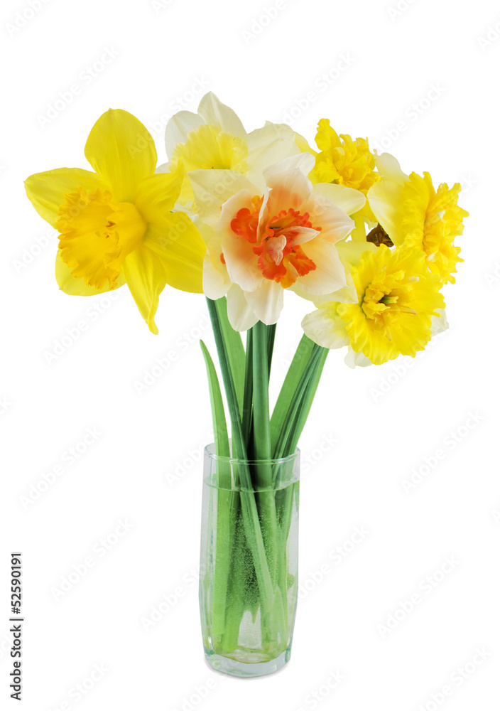Narcissuses in a glass