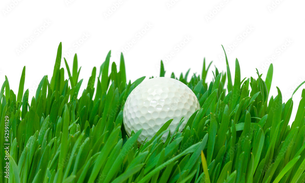 White golf ball in the long grass White golf ball in the long grass