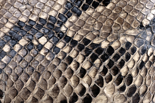Texture de peau de python.