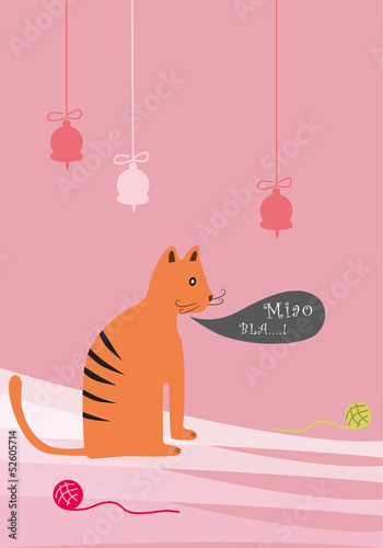 gatto