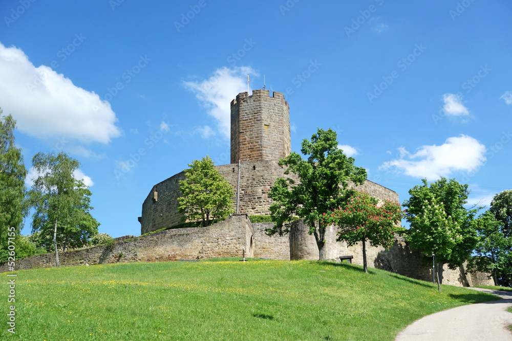 Castle Steinsberg