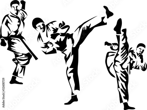 karate pose