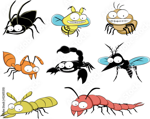 insect pests at home  spider, fly, termite, centipede, scorpion © trichopcmu