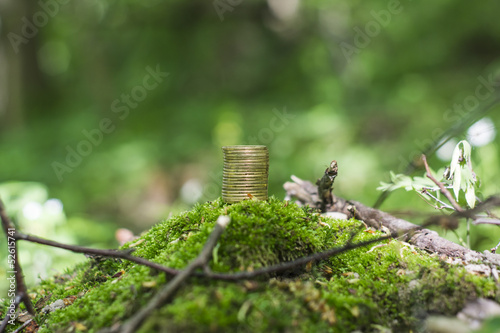 Golden coins in soil with young plant. Money growth concept. photo