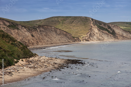 Views around Point Reyes National Seashore  photo