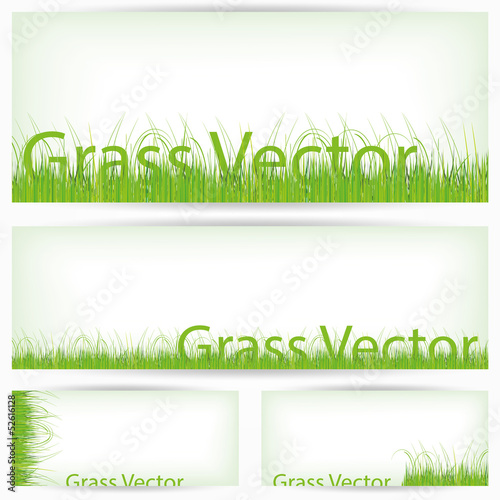 Green Grass Set, Isolated On White Background