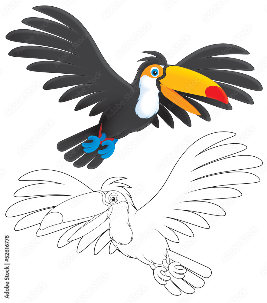 Naklejka premium Toucan