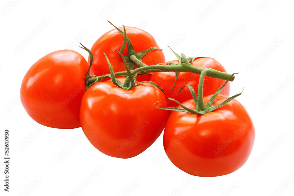 bunch of red tomatoes isolated on a white background