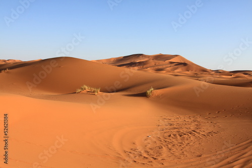 Sand dunes and cloudless sky in Merzouga Morocco