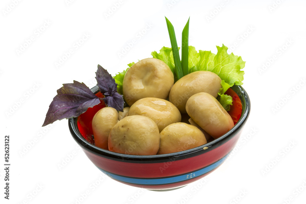 Ripe fresh Champignon Ripe fresh Champignon