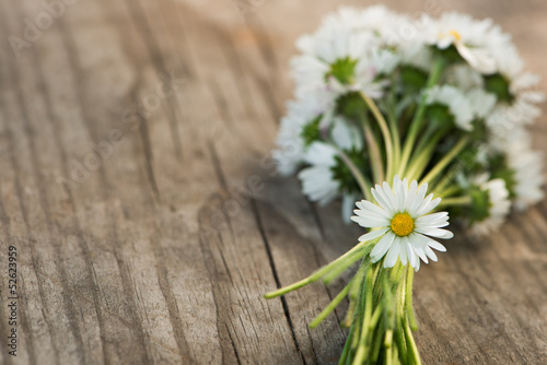 Fototapeta Naklejka Na Ścianę i Meble -  Kleiner Blumenstrauß aus Gänseblümchen