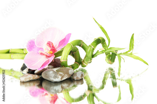 Fototapeta Naklejka Na Ścianę i Meble -  Still life with green bamboo plant, orchid and stones,