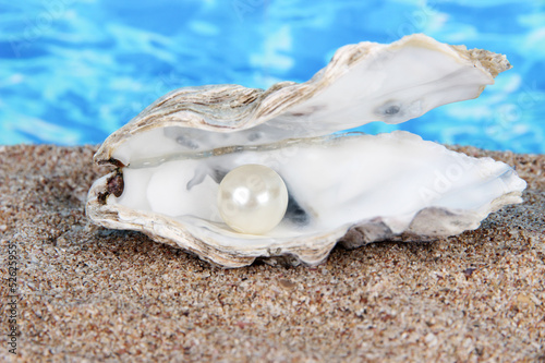 Open oyster with pearl on sand on water background