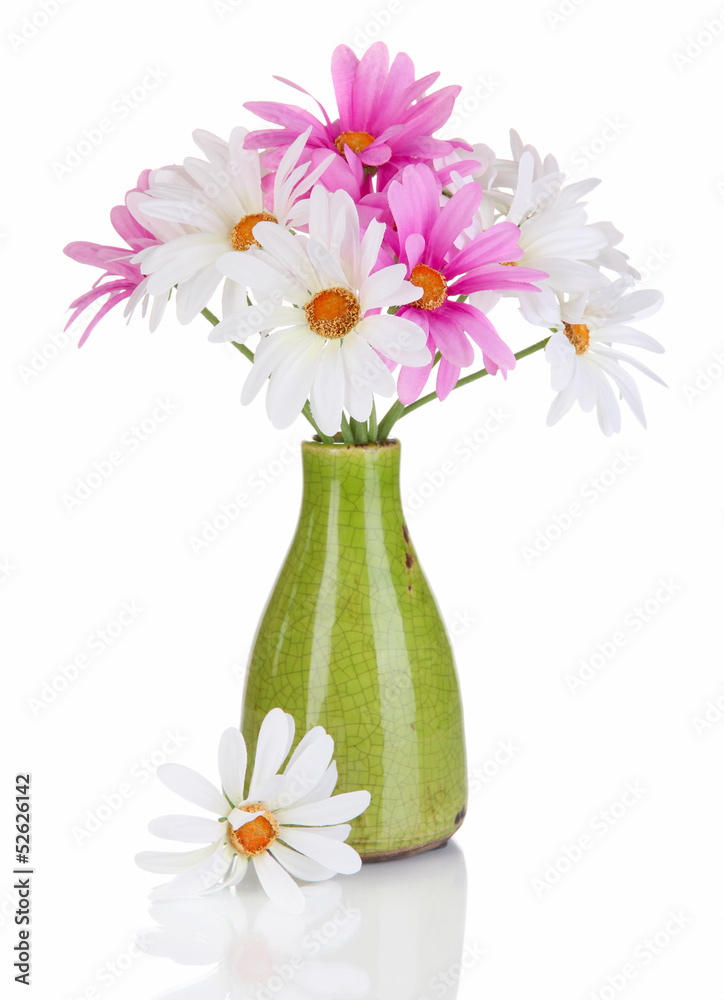 Beautiful daisies in colorful vase isolated on white Beautiful daisies in colorful vase isolated on white