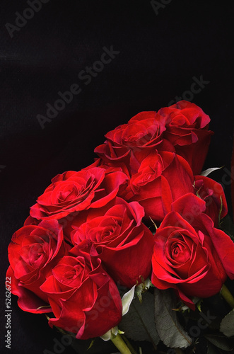 Love Roses