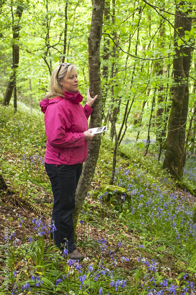 Attractive Woman Scans Woodland Terrain with Field Guide. Attractive Woman Scans Woodland Terrain with Field Guide.