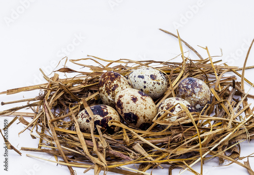 Eggs in the nest of straw.