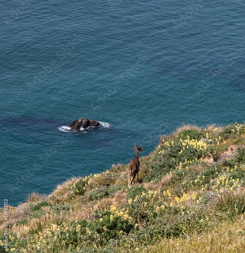 Views around Point Reyes National Seashore  photo