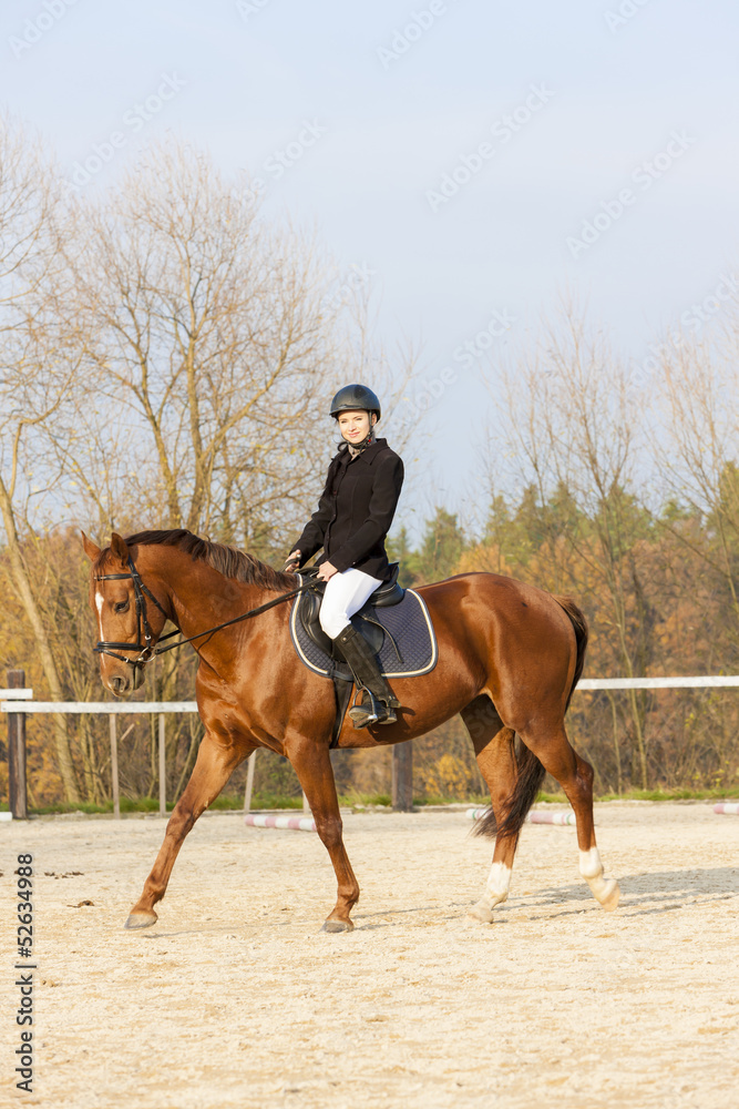 equestrian on horseback