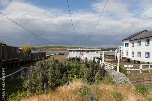 Inverness Port Reyes photo