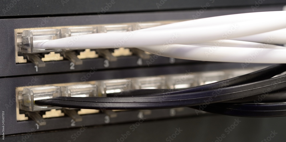 Plugged white and black telephone patch cords to the patch panel Plugged white and black telephone patch cords to the patch panel