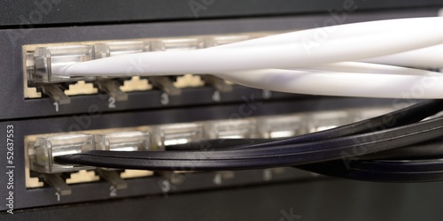 Plugged white and black telephone patch cords to the patch panel