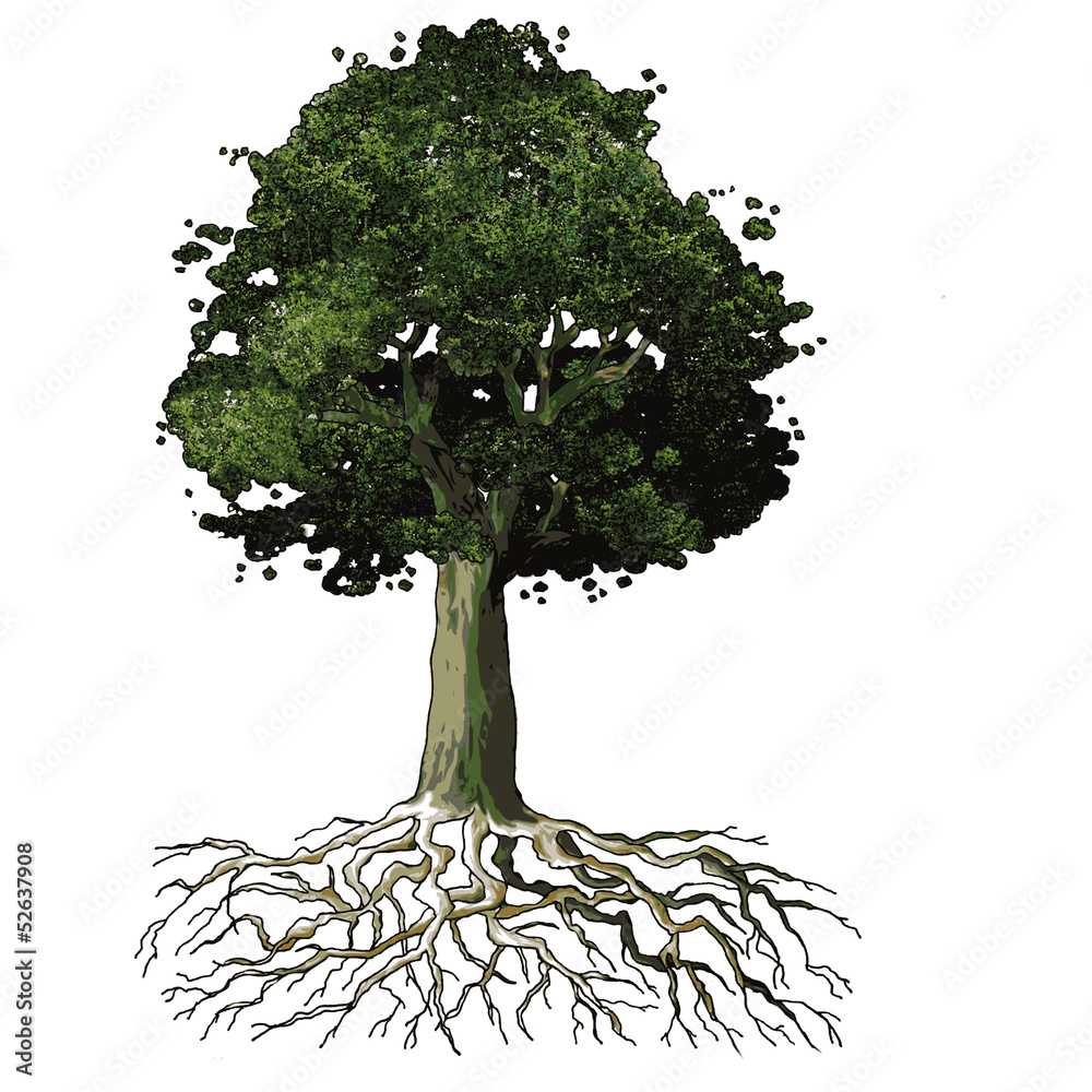 Arbre
