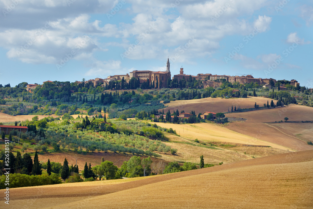 Typical landscape in Val d'Orcia  at summer. The road to Pienza