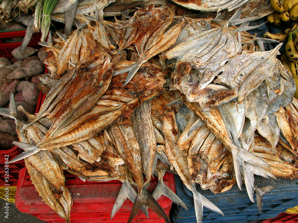 Sea food,fish Sea food,fish