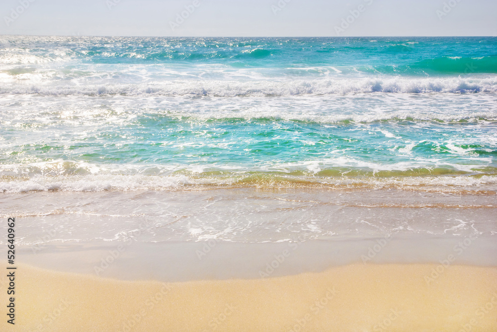 beautiful nature summer seascape panorama