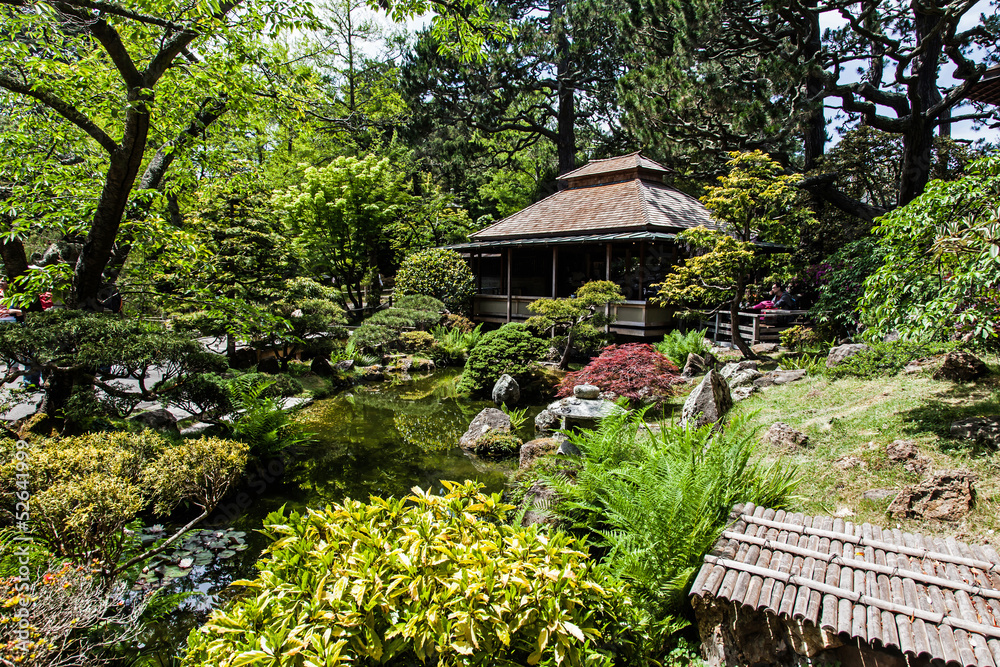 San Francisco City Japanese Garden