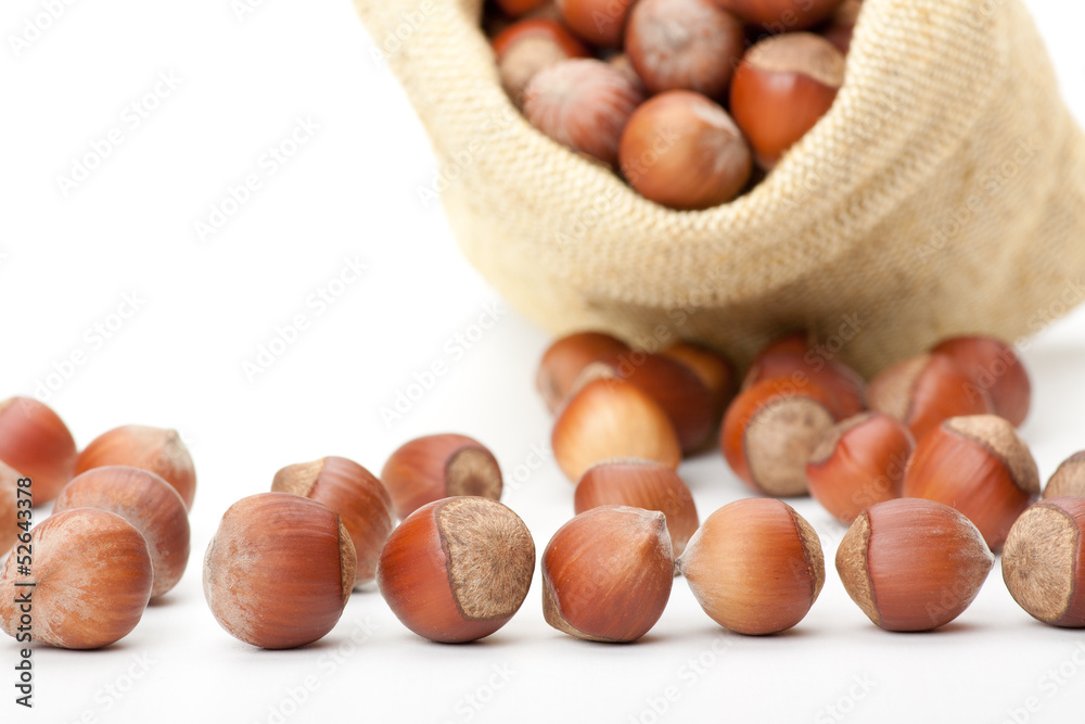 fresh hazelnuts in a bag on white background fresh hazelnuts in a bag on white background