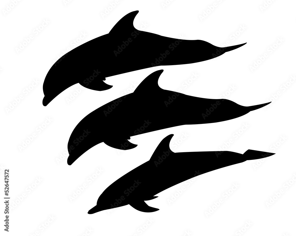 three dolphins