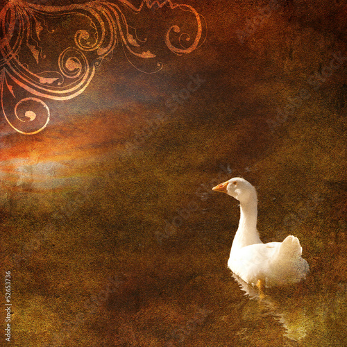 Vintage shabby chic background with goose