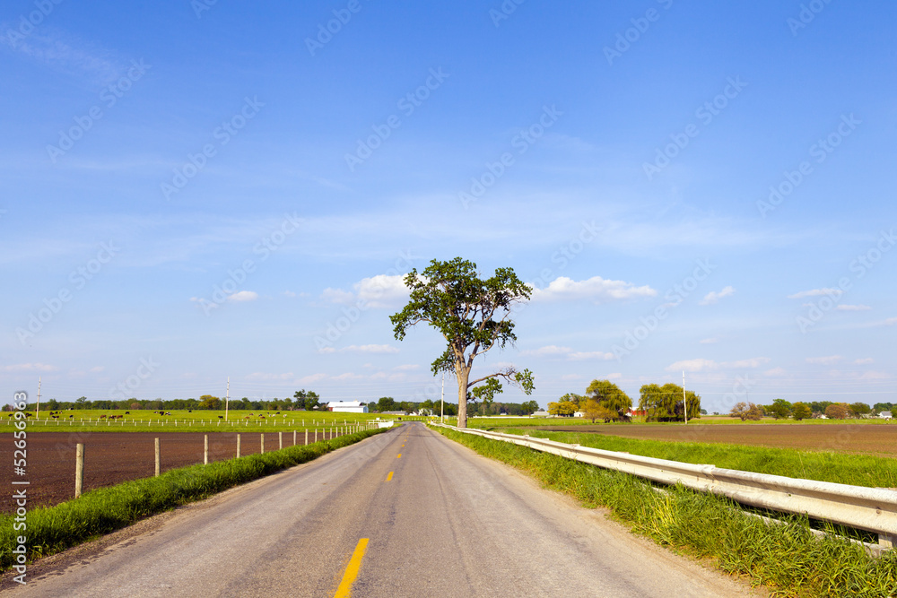 Country Road